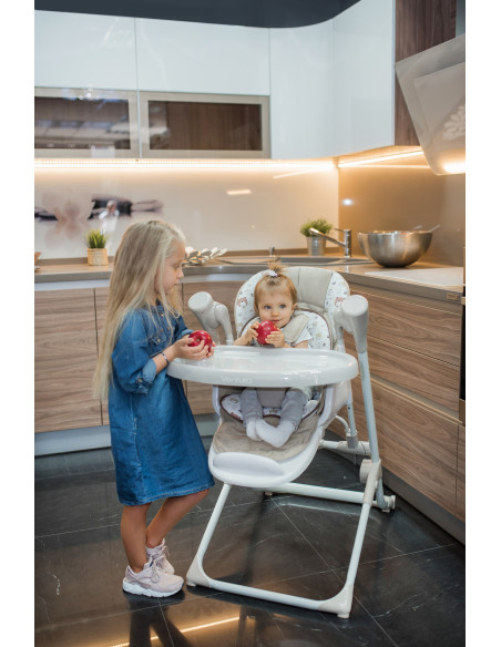 10100302395,Leagan electric Ventura, Grey Trees