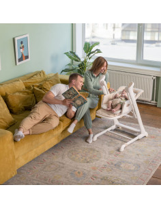 CRL-10303/366,Scaun de masa si leagan electric controlabil prin aplicatie pe mobil Carrello CASCATA (CRL-10303/1) Ash Grey 2