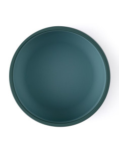 BN-718817,Petite&Mars - Bol Take&Match, Cu ventuza, Silicon, Fara BPA, 450 ml, 6 luni+, Verde 2