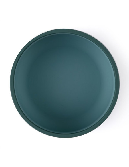 BN-718817,Petite&Mars - Bol Take&Match, Cu ventuza, Silicon, Fara BPA, 450 ml, 6 luni+, Verde BN-718817,Petite&Mars - Bol Take&Match, Cu ventuza, Silicon, Fara BPA, 450 ml, 6 luni+, Verde