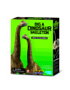 4M-03237,Set educativ Sapa si descopera Dinozauri - Brachiosaurus