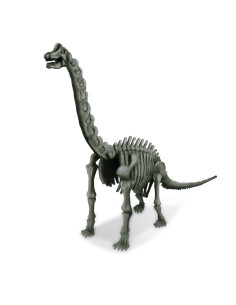 4M-03237,Set educativ Sapa si descopera Dinozauri - Brachiosaurus 2
