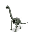 4M-03237,Set educativ Sapa si descopera Dinozauri - Brachiosaurus
