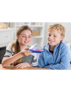 4M-04901/EU,Kit stiintific - Gradina cu Cristale, STEAM Kids 2