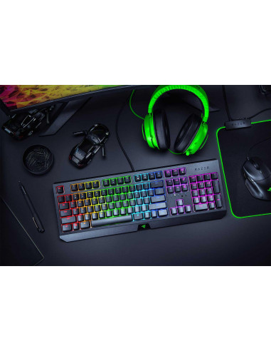 Tastatura Razer Blackwidow cu fir Razer Green Mechanical
