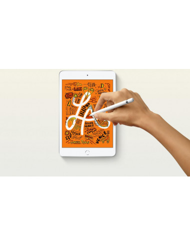 Apple iPad mini 5 Cellular 64GB - Silver,MUX62HC/A