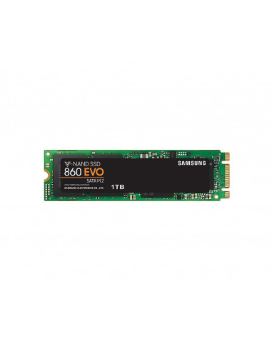SSD M.2 2280 1TB/860 EVO MZ-N6E1T0BW SAMSUNG,MZ-N6E1T0BW