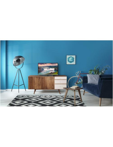 TX-32MS350E,Televizor LED Panasonic 80 cm (32") TX-32MS350E, HD Ready, Smart TV, CI+