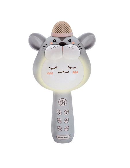 HY720-E,Microfon karaoke