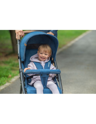 BN-LO-ANNET_PLUS_GREEN_FOREST,Lionelo - Carucior sport Annet Plus, De la nastere, Cu accesorii si capotina XXL reglabila, 0 - 22