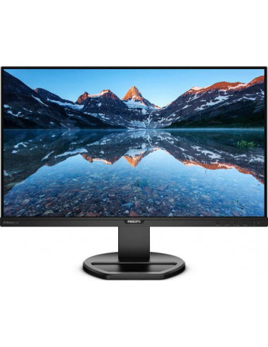 Monitor 25 PHILIPS 252B9 IPS WLED 16:10 WUXGA 1920*1200 60 hz 5