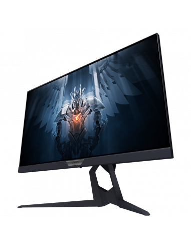 Monitor Gaming Gigabyte AORUS FI25F,AORUS FI25F