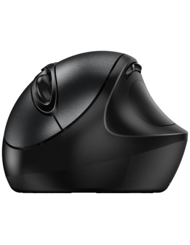 31030037400,Mouse Optic Genius Ergo 8300S, USB Wireless, Negru