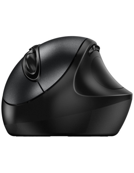 31030037400,Mouse Optic Genius Ergo 8300S, USB Wireless, Negru