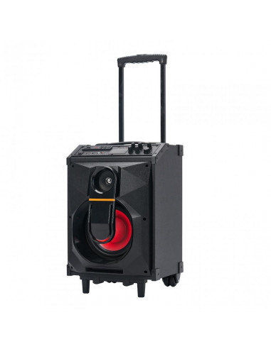 Boxa trolley Serioux, putere totala 40W RMS, conectivitate: