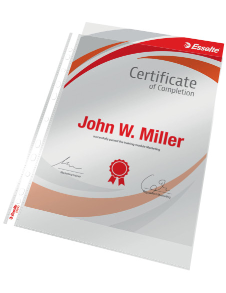 ES56093,Folie protectie a4 cristal 105 microni 100/top esselte