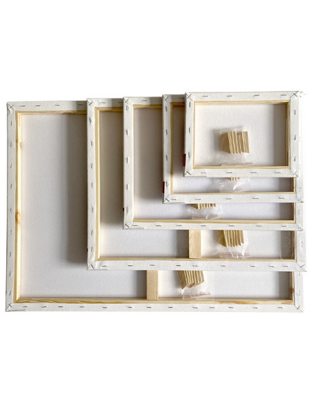 MCPPL20X20,Panza pentru pictura pe sasiu 20 x 20 cm sf art pigna