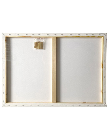 MCPPL50X70,Panza pentru pictura pe sasiu 50 x 70 cm sf art pigna
