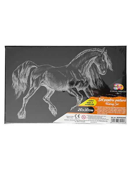 MCPP203N96,Panza predesenata pe sasiu neagra 20*30cm cal sf art pigna