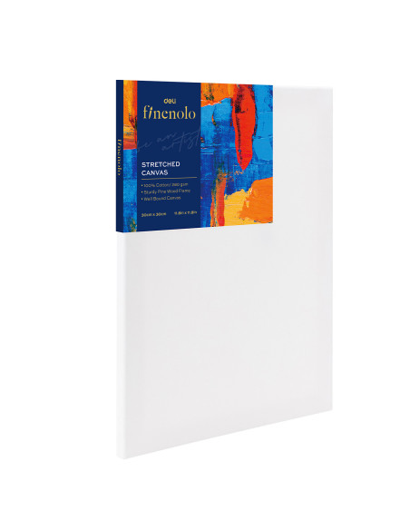 DLEC279-6,Panza pentru pictura pe sasiu 30*30cm deli