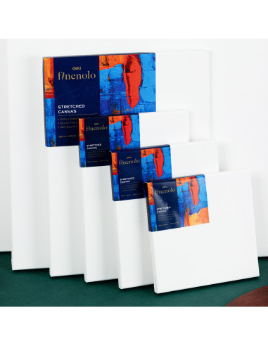 DLEC279-6,Panza pentru pictura pe sasiu 30*30cm deli