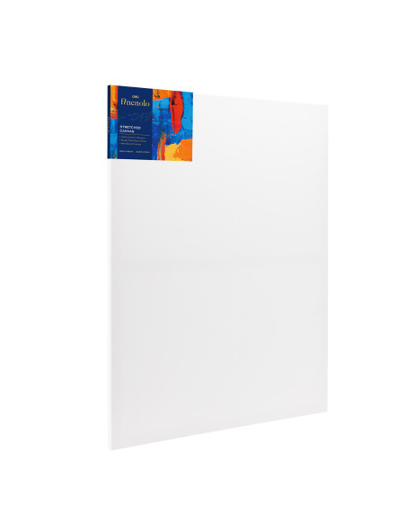 DLEC279-11,Panza pentru pictura pe sasiu 60*80cm deli