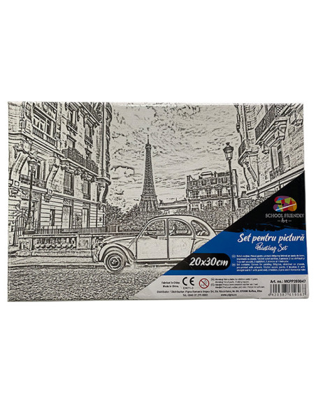 MCPP203047,Panza predesenata pe sasiu 20 x 30 cm paris sf art pigna