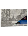MCPP203047,Panza predesenata pe sasiu 20 x 30 cm paris sf art pigna