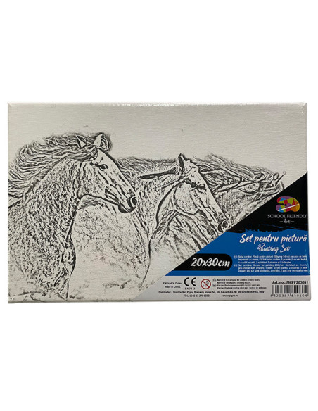 MCPP203051,Panza predesenata pe sasiu 20 x 30 cm cai sf art pigna