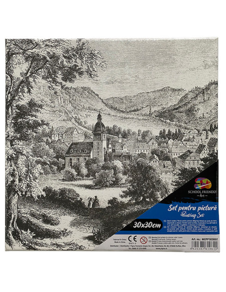 MCPP303052,Panza predesenata pe sasiu 30 x 30 cm peisaj sf art pigna