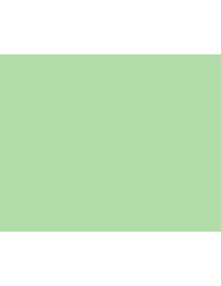 NI180098736,Hartie copiator a4 verde deschis pal 80g 500/top mg28 niveus