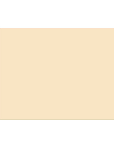 NI180098656,Carton copiator a4 cream 160g 250/top cr20 niveus NI180098656,Carton copiator a4 cream 160g 250/top cr20 niveus