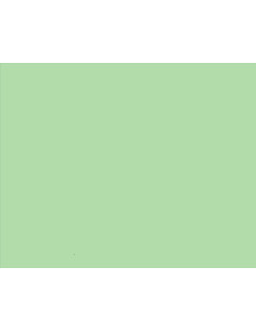 NI180098669,Carton copiator a4 verde deschis pal 160g 250/top mg28 niveus 2