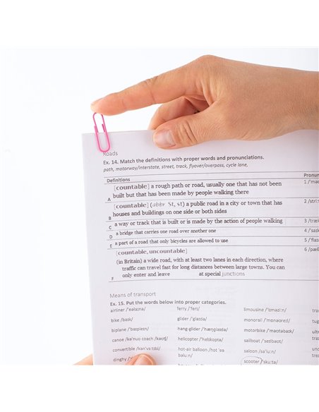 007129,Agrafe color D.Rect 28mm 100buc./set, 007129