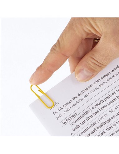 007129,Agrafe color D.Rect 28mm 100buc./set, 007129