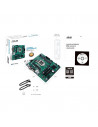 MB B460 S1200 MATX/PRO B460M-C/CSM ASUS,PRO B460M-C/CSM