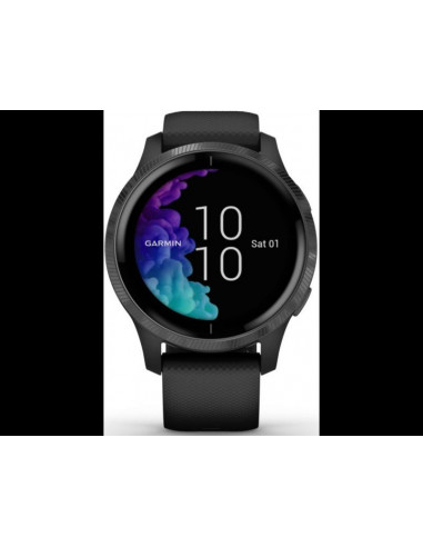 Ceas Smartwatch Garmin Venu, Blue Granite/Silver