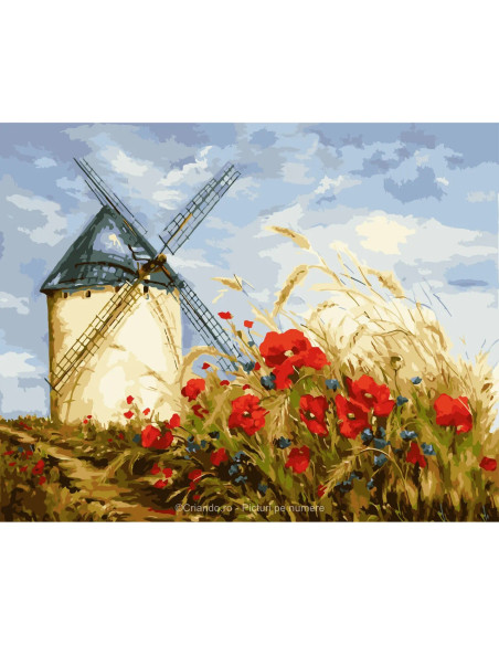 PDA530_5040,Pictura pe numere Peiaje 40x50 cm, Moara Macului, PDA530