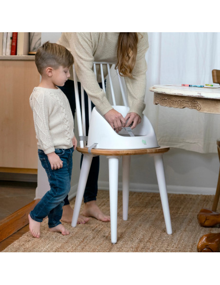 BB-12622,Ity by Ingenuity - Scaun de masa Easy Clean Booster, Oat
