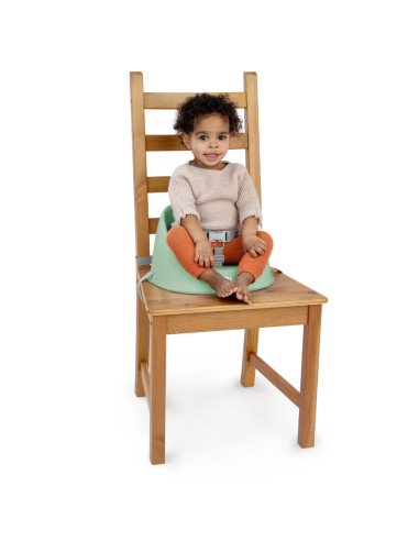 BB-16920,Ity by Ingenuity - Scaun de masa si Booster My Spot Easy-Clean, Green