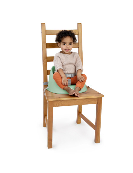 BB-16920,Ity by Ingenuity - Scaun de masa si Booster My Spot Easy-Clean, Green