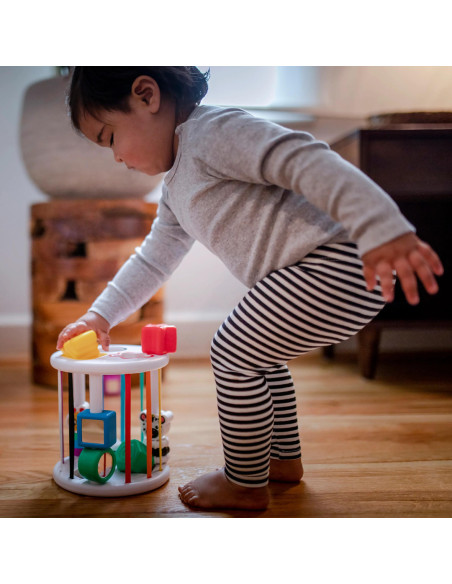 BB-12493,Baby Einstein - Set de jucarii senzoriale Zen & Cal's Playground