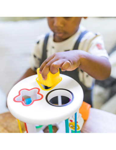 BB-12493,Baby Einstein - Set de jucarii senzoriale Zen & Cal's Playground