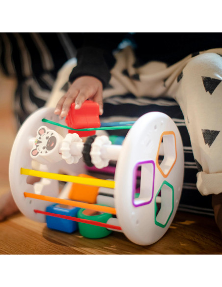 BB-12493,Baby Einstein - Set de jucarii senzoriale Zen & Cal's Playground