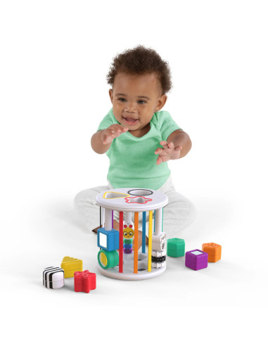 BB-12493,Baby Einstein - Set de jucarii senzoriale Zen & Cal's Playground