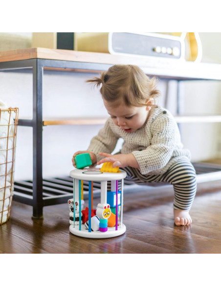 BB-12493,Baby Einstein - Set de jucarii senzoriale Zen & Cal's Playground