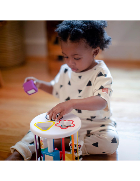 BB-12493,Baby Einstein - Set de jucarii senzoriale Zen & Cal's Playground