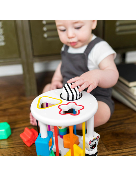 BB-12493,Baby Einstein - Set de jucarii senzoriale Zen & Cal's Playground