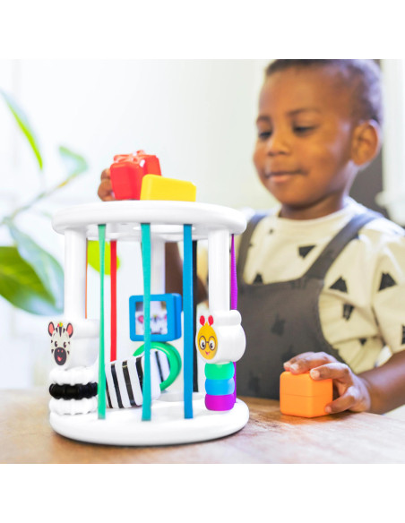 BB-12493,Baby Einstein - Set de jucarii senzoriale Zen & Cal's Playground