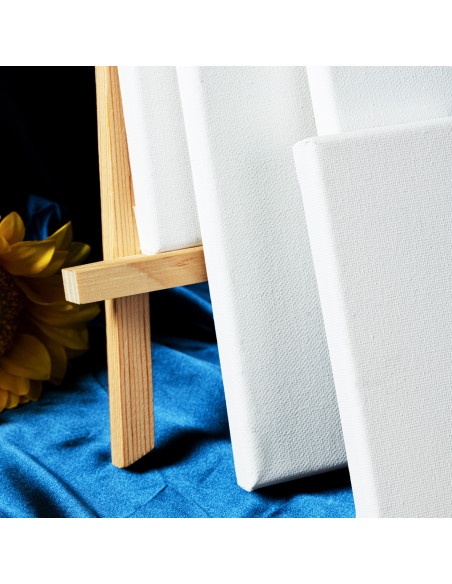 DLEC279-7,Panza pentru pictura pe sasiu 30*40cm deli